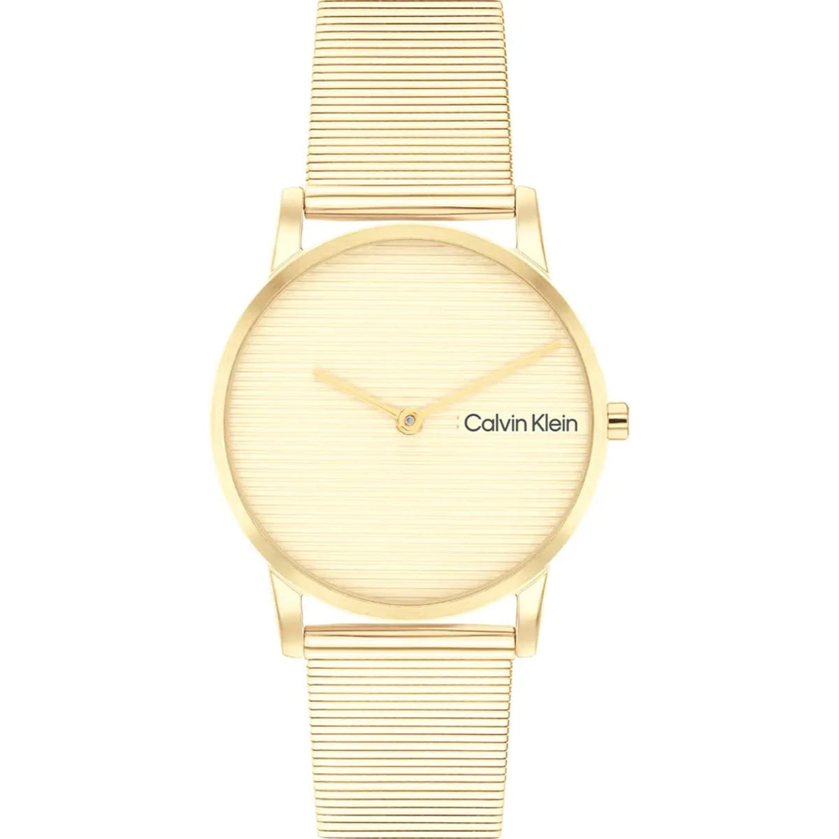 Zegarek damski Calvin Klein 25100035